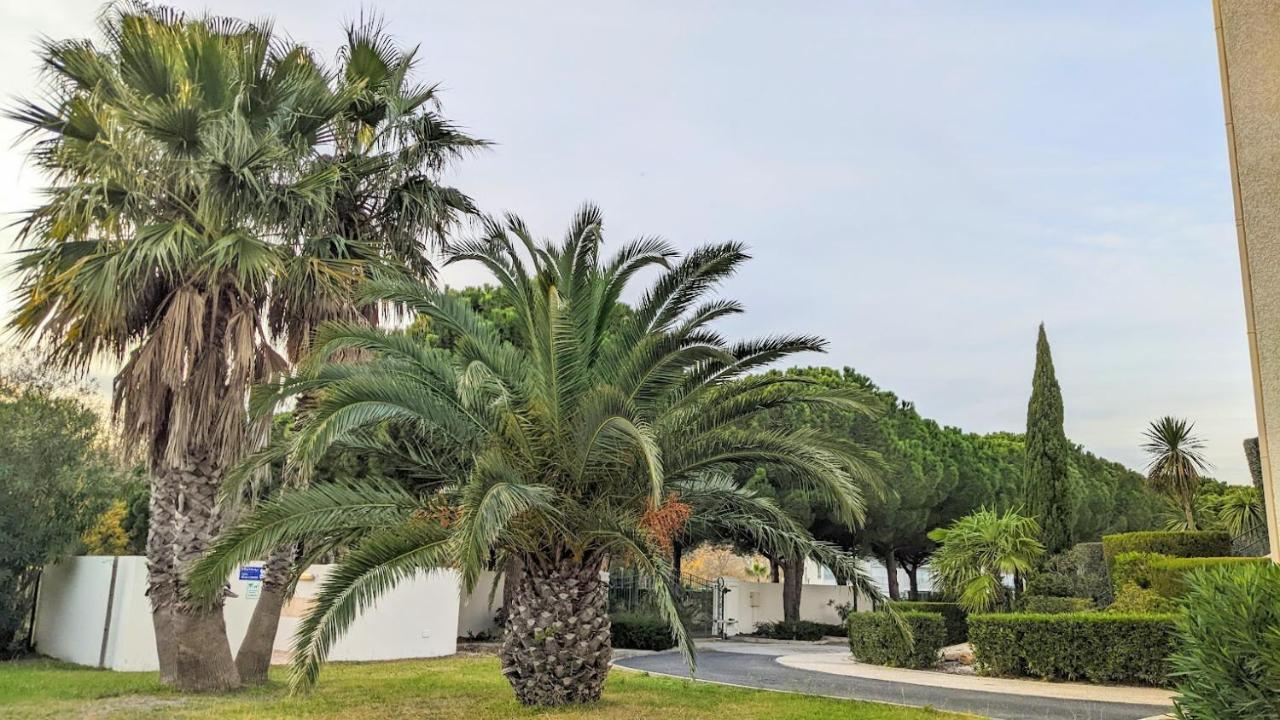 Standing T3Bis Presqu'Ile De La Lagune - Piscine - Mer & Nature Saint-Cyprien  Exterior foto