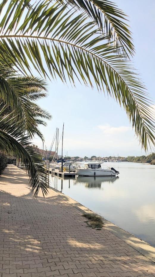 Standing T3Bis Presqu'Ile De La Lagune - Piscine - Mer & Nature Saint-Cyprien  Exterior foto